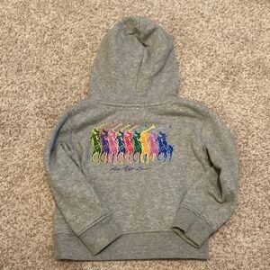 Ralph Lauren Gray Hoodie with Multicolor Polo Design